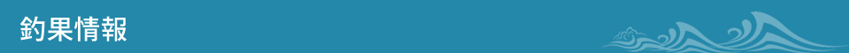 釣果情報